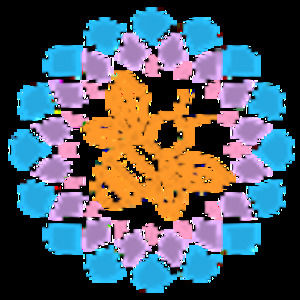 Meet your Posher, Siobhan